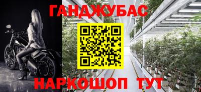шишки Будённовск